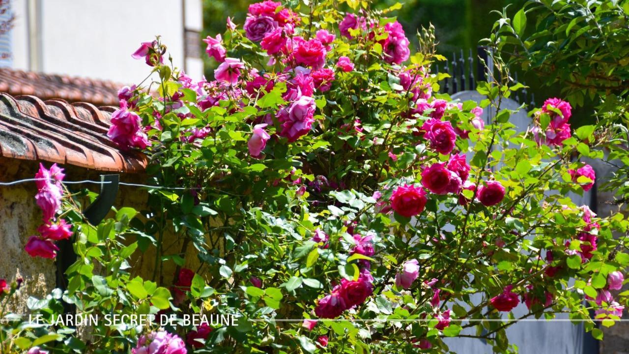 ביון Le Jardin Secret De Beaune מראה חיצוני תמונה